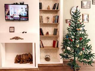 Апартаменты Lux New Year 2020! Christmas tree Николаев Улучшенные апартаменты-1